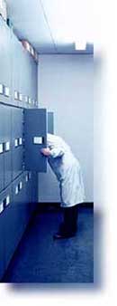 6�me ann�e recherche de pharmacie