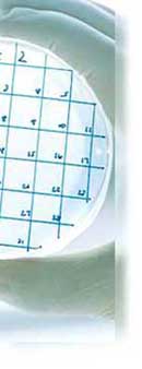 recherche scientifique